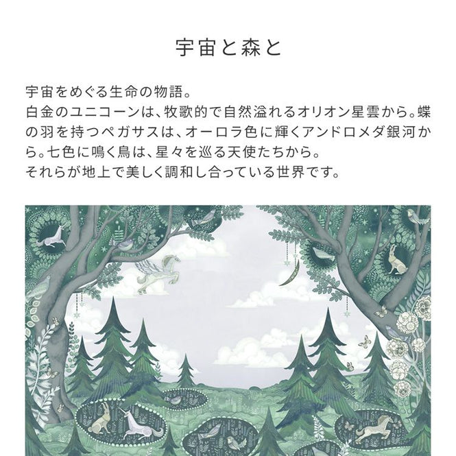 【WALLTZ】AYA KATO / 宇宙と森と / NWZ-UTMR