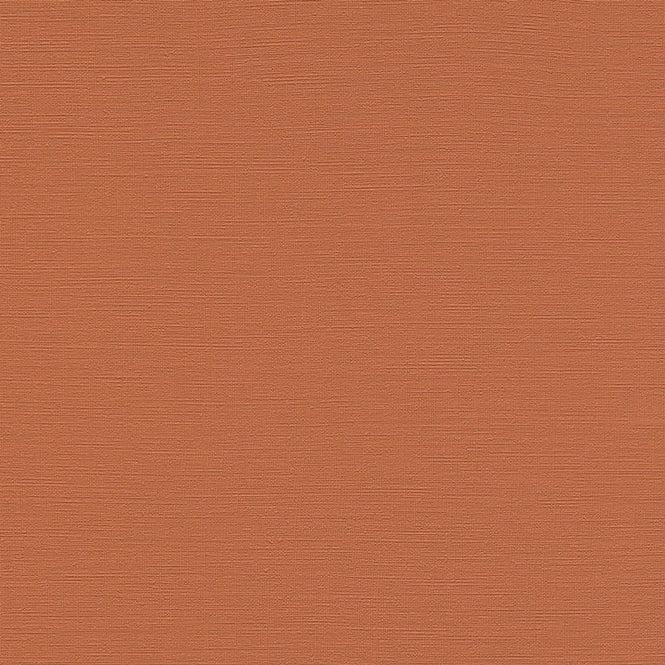 rasch ラッシュ / 687569 (Tropical House)