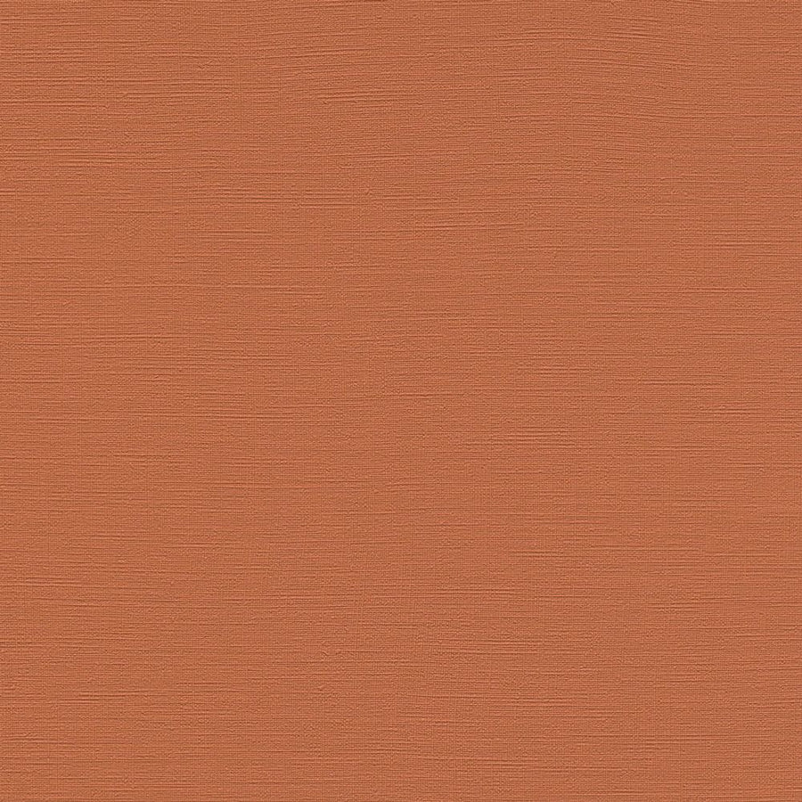 rasch ラッシュ / 687569 (Tropical House)