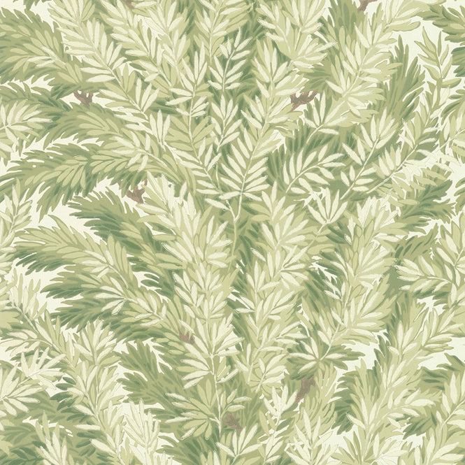 Cole&Son / ARCHIVE ANTHOLOGY 100/1003