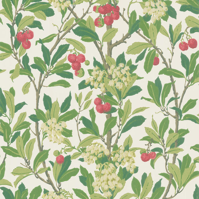 Cole&Son / ARCHIVE ANTHOLOGY 100/10049