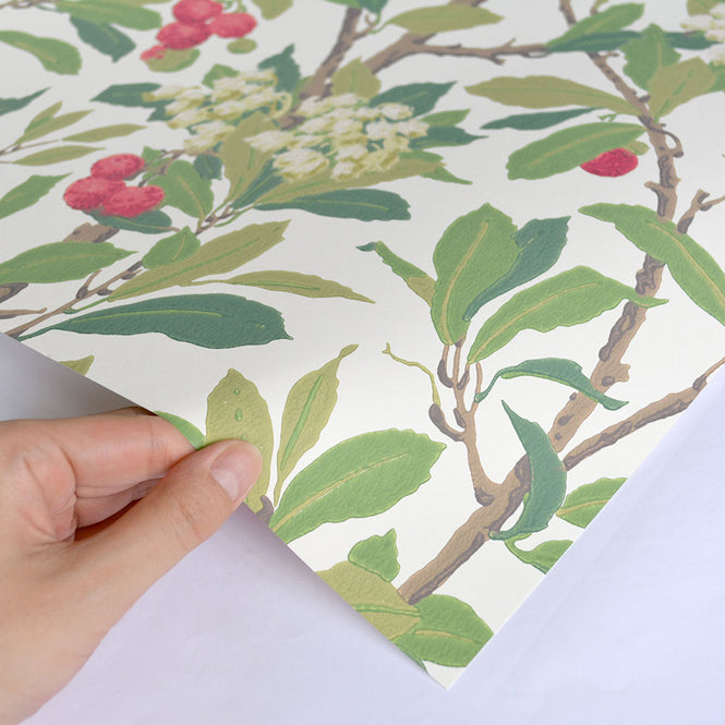 Cole&Son / ARCHIVE ANTHOLOGY 100/10049