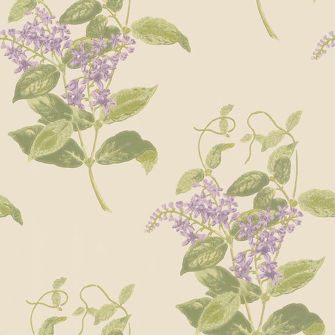 Cole&Son / ARCHIVE ANTHOLOGY 100/12056