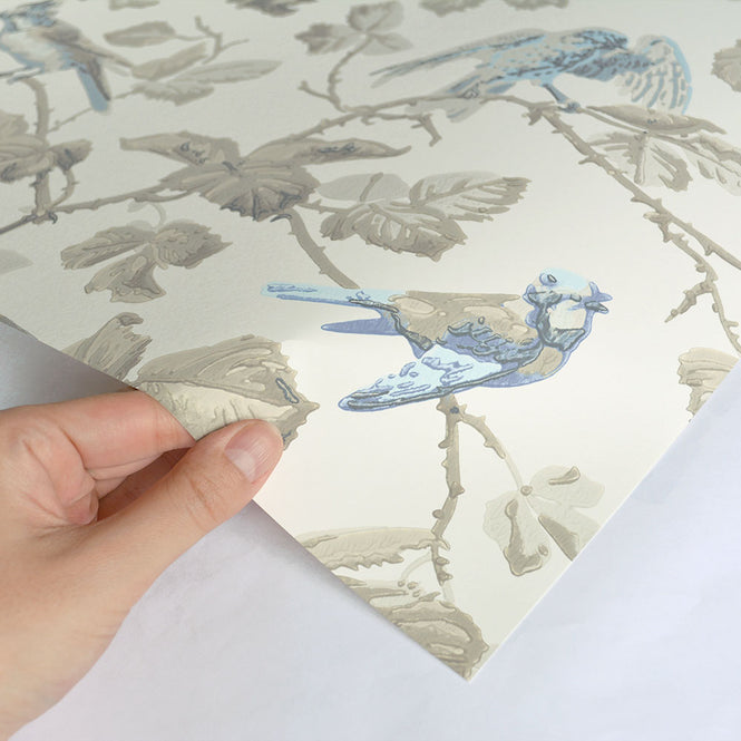 Cole&Son / ARCHIVE ANTHOLOGY 100/2008