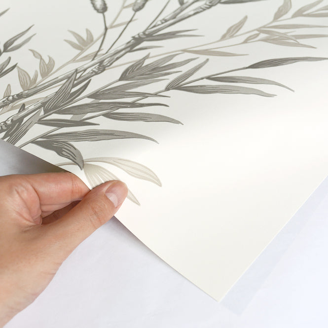 Cole&Son / ARCHIVE ANTHOLOGY 100/5025