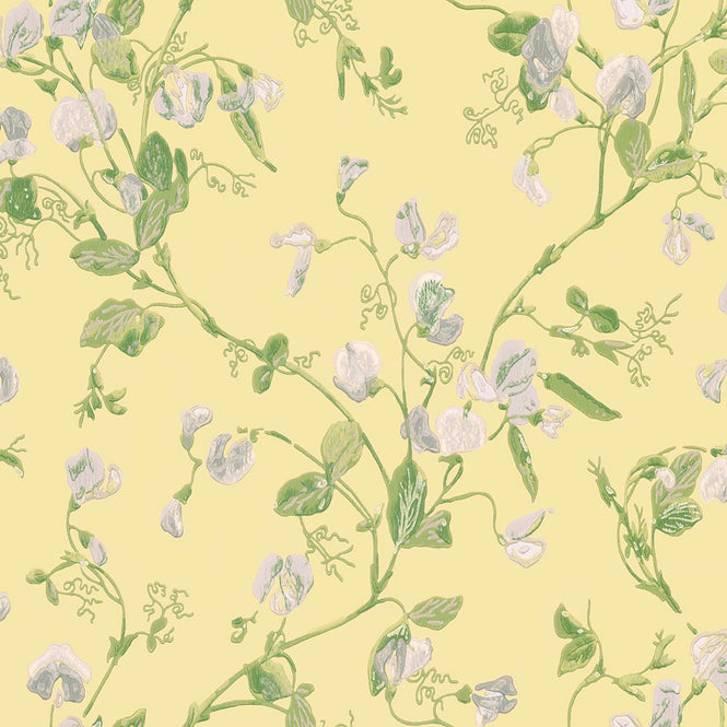 Cole&Son / ARCHIVE ANTHOLOGY 100/6029