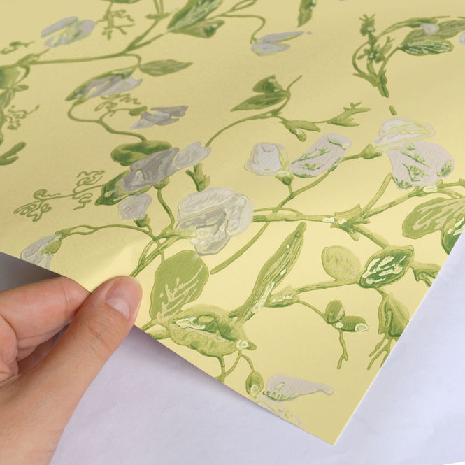 Cole&Son / ARCHIVE ANTHOLOGY 100/6029