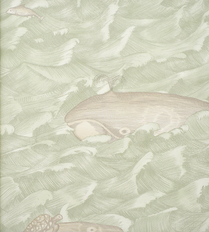 Cole&Son / WHIMSICAL / MELVILLE 103/1001