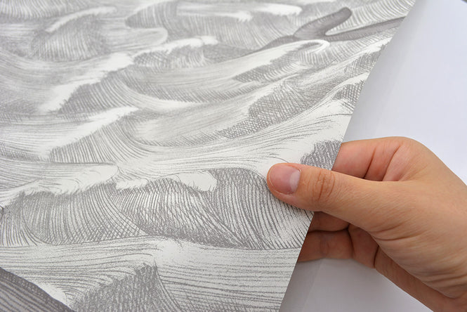 Cole&Son / WHIMSICAL / MELVILLE 103/1004