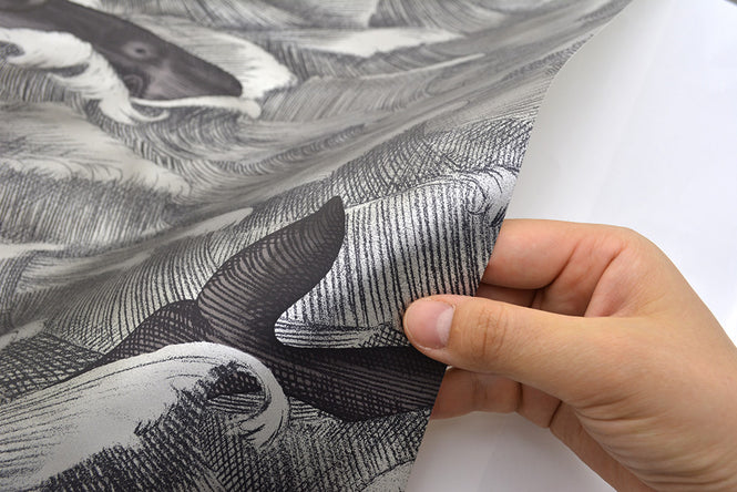 Cole&Son / WHIMSICAL / MELVILLE 103/1005