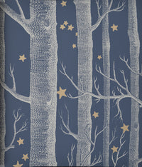 Cole&Son 値下げ　輸入壁紙 1ロール　おまけ付き 輸入壁紙(クロス)のテシード | SELECTION COLE&SON 小物入れ