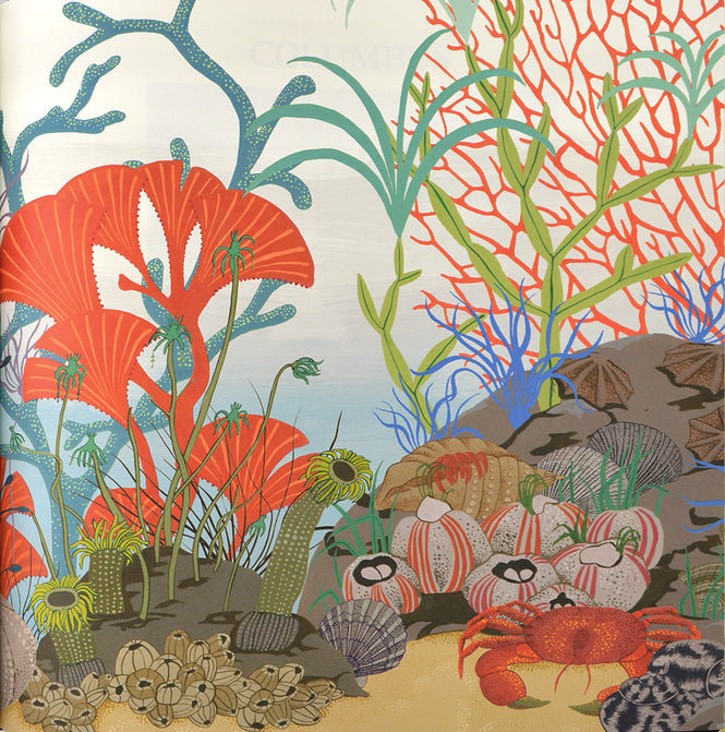 Cole&Son / WHIMSICAL / ARCHIPELAGO BORDER 103/12054