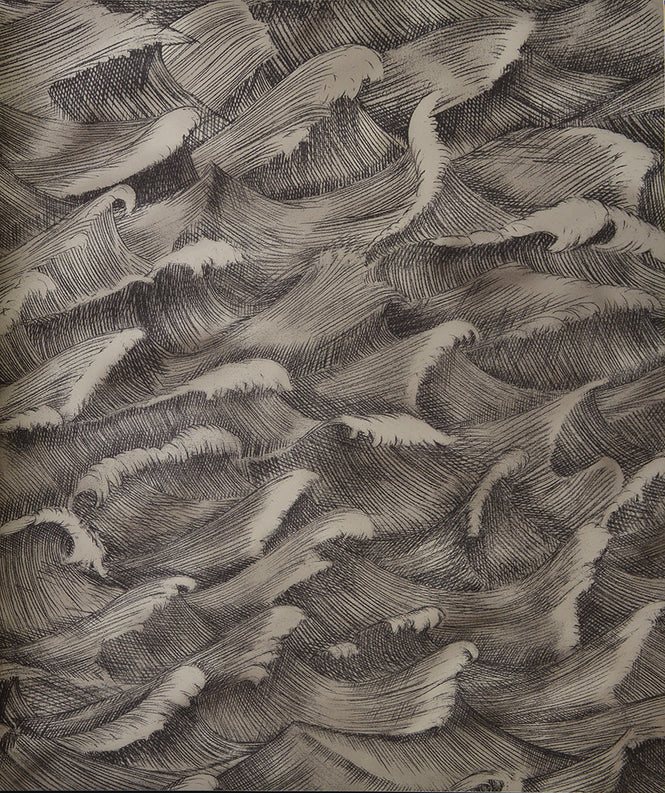 Cole&Son / WHIMSICAL / COLUMBUS 103/13056