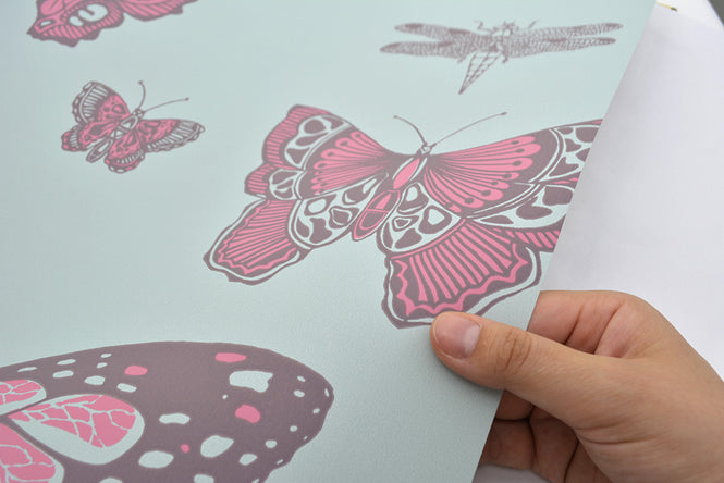 Cole&Son / WHIMSICAL / BUTTERFLIES & DRAGONFLIES 103/15062
