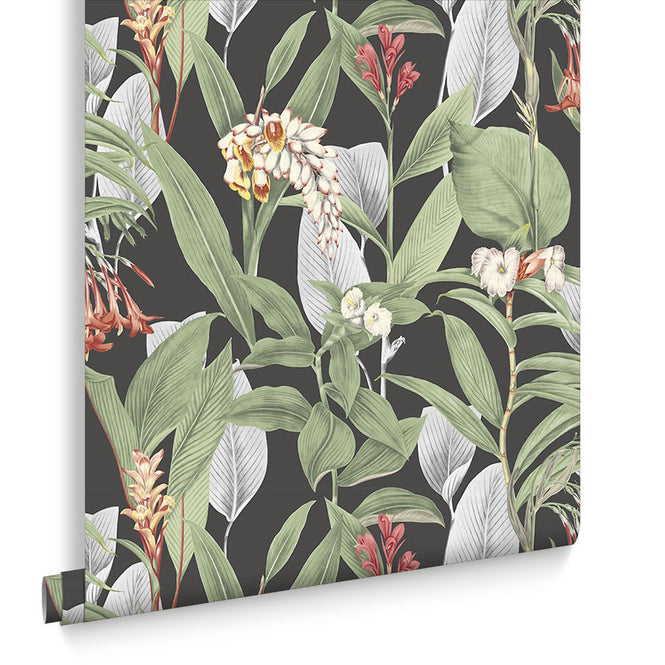 【切売m単位】Graham & Brown / Botanical Black 103798