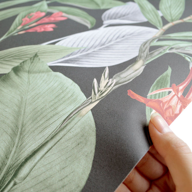 【切売m単位】Graham & Brown / Botanical Black 103798