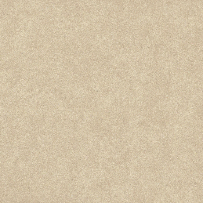 Graham & Brown / ETERNAL / Steel Oyster 105864