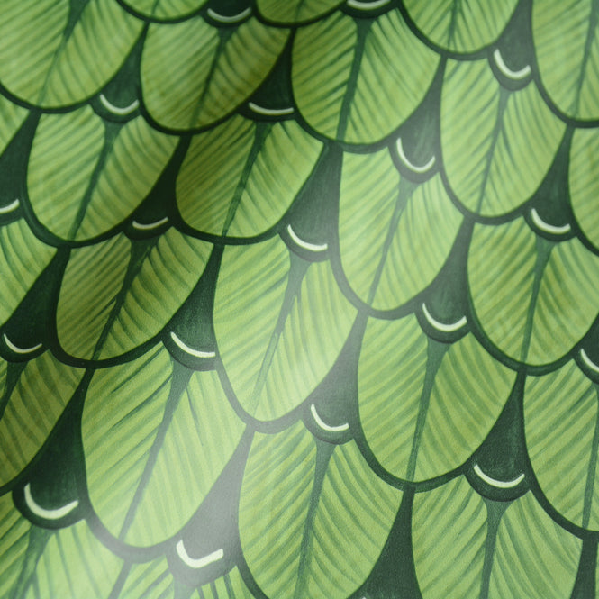 Cole&son / The Ardmore Collection / Narina 109/10045