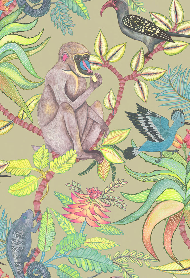 Cole&son / The Ardmore Collection / Savuti 109/1005 (MANOR HOUSE)