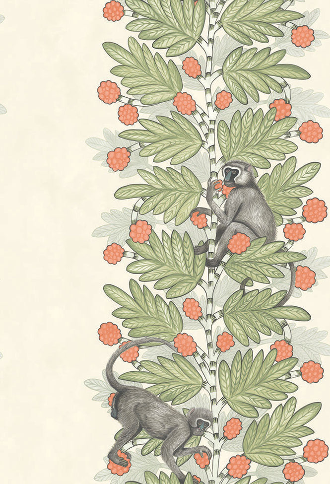 Cole&son / The Ardmore Collection / Acacia 109/11051