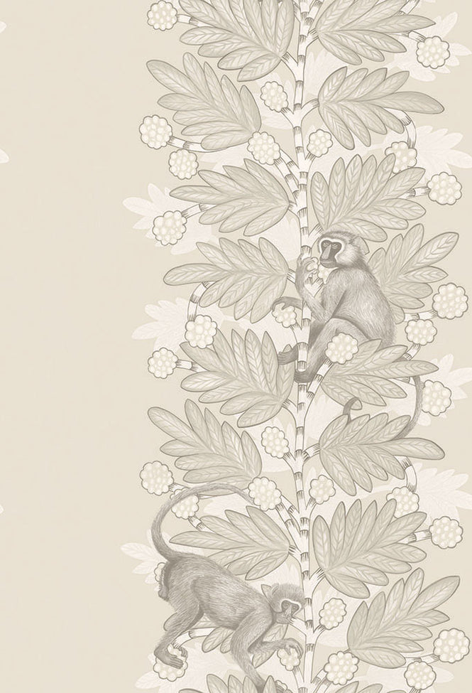 Cole&son / The Ardmore Collection / Acacia 109/11054