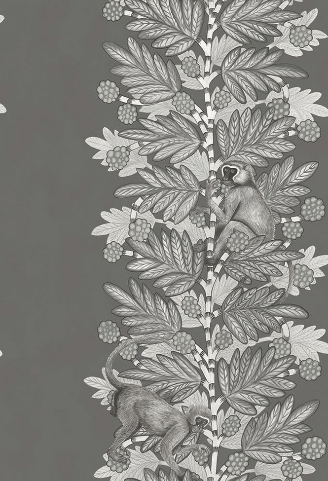 Cole&son / The Ardmore Collection / Acacia 109/11055