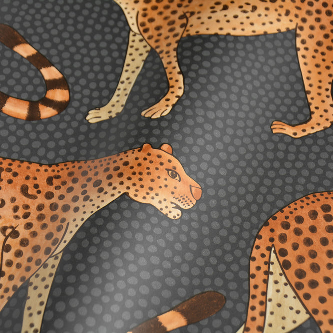 Cole&son / The Ardmore Collection / Leopard Walk 109/2008