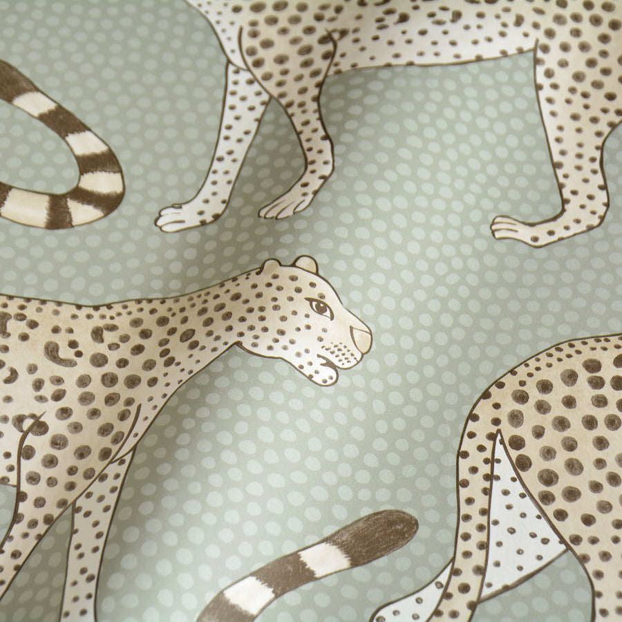 Cole&son / The Ardmore Collection / Leopard Walk 109/2009