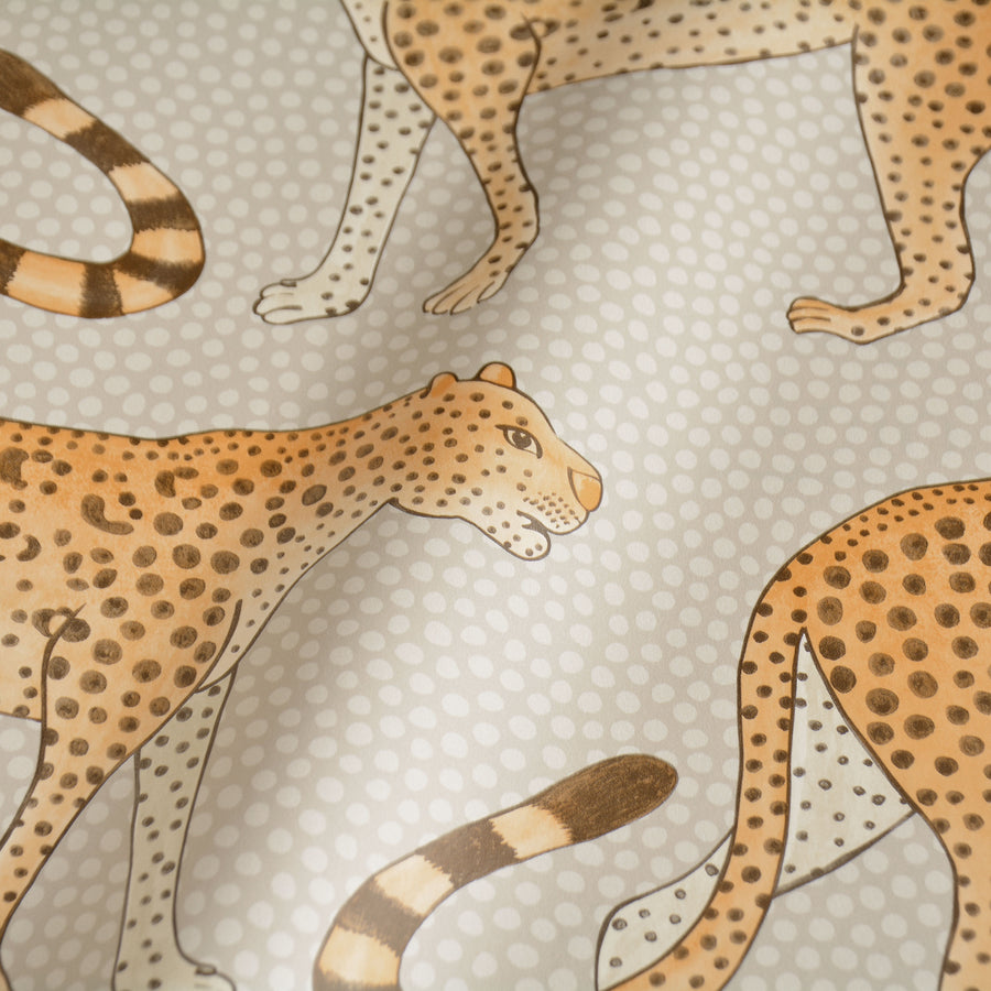 Cole&son / The Ardmore Collection / Leopard Walk 109/2010