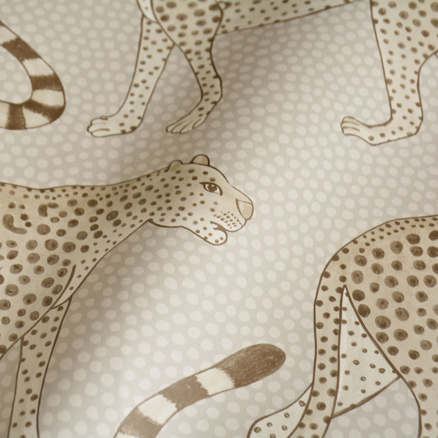 Cole&son / The Ardmore Collection / Leopard Walk 109/2012