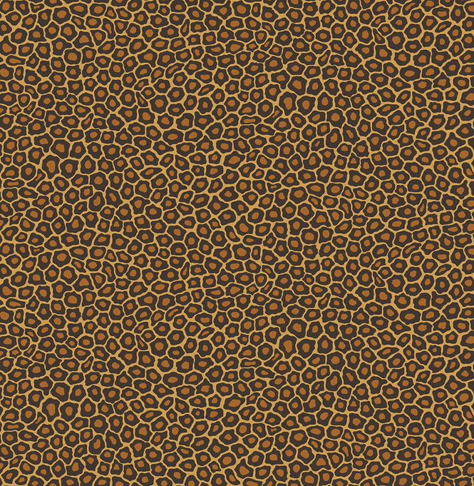 Cole&son / The Ardmore Collection / Senzo spot 109/6028