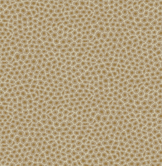 Cole&son / The Ardmore Collection / Senzo spot 109/6029