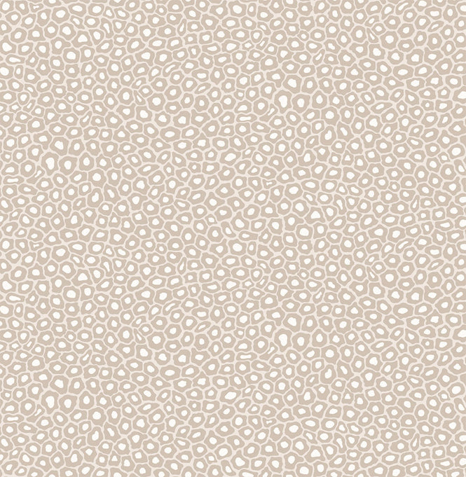Cole&son / The Ardmore Collection / Senzo spot 109/6030