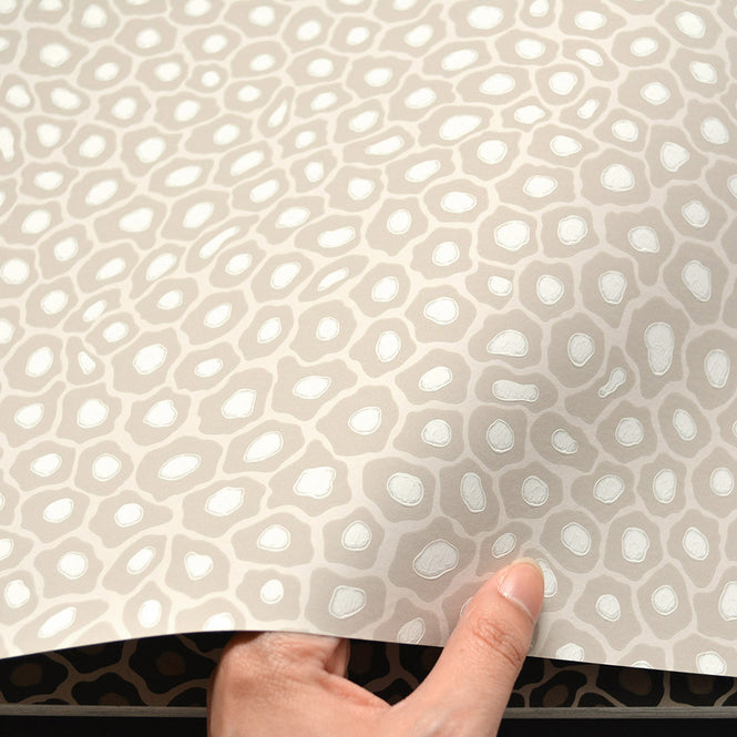 Cole&son / The Ardmore Collection / Senzo spot 109/6030