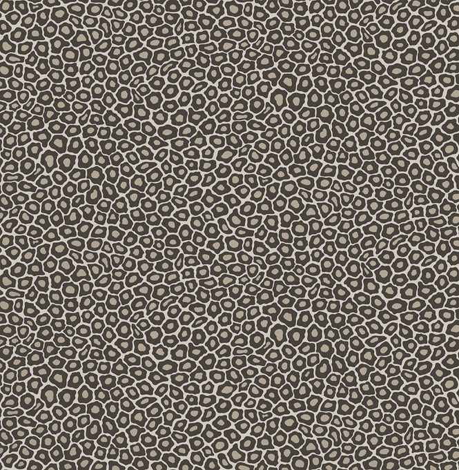 Cole&son / The Ardmore Collection / Senzo spot 109/6031