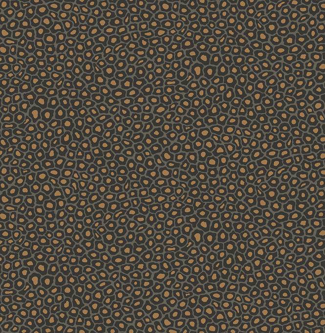 Cole&son / The Ardmore Collection / Senzo spot 109/6032