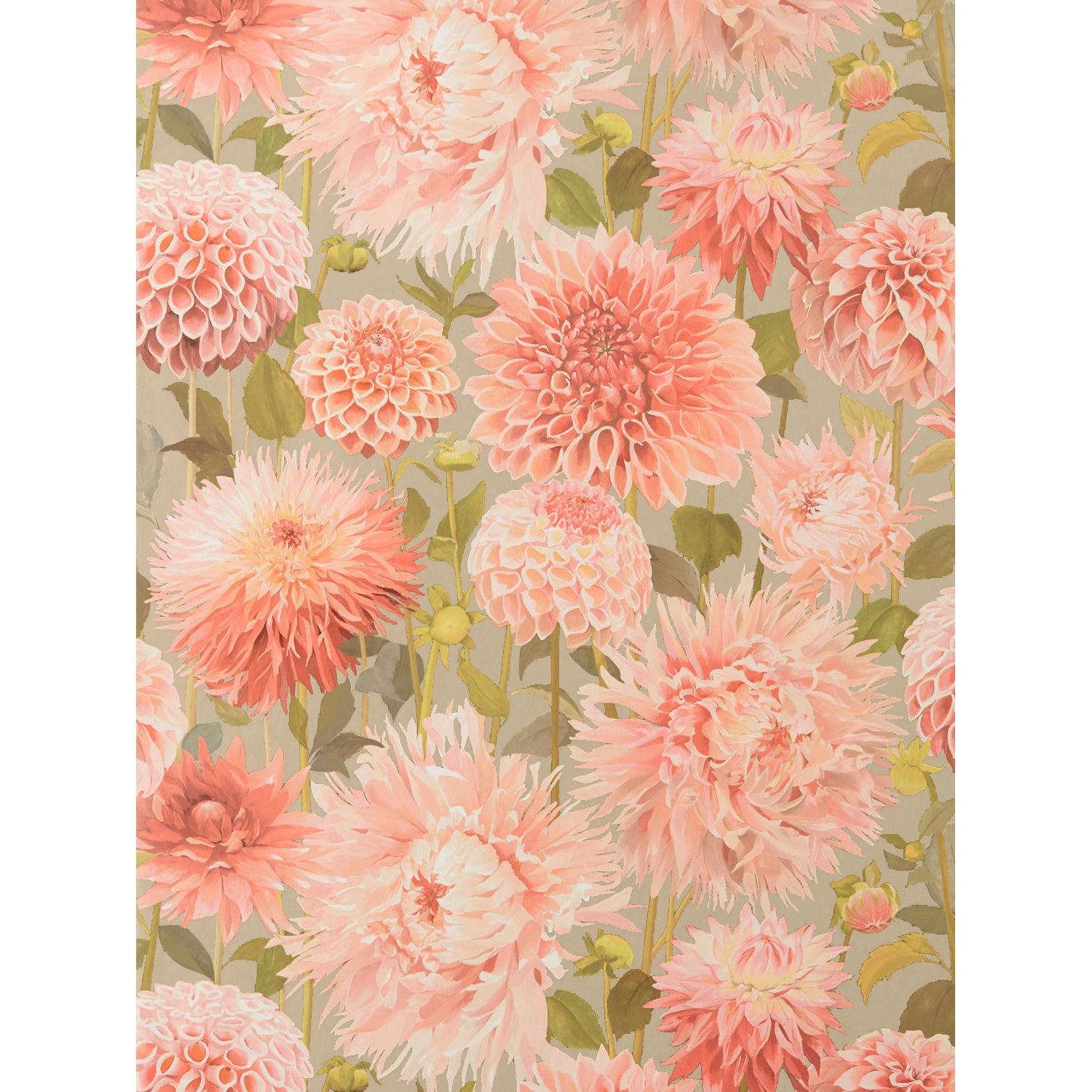 thv1230　トルコラグ　花柄　ヴィンテージ　117×195 HARLEQUIN / COLOUR 2 WALLPAPERS / Dahlia 112845 | 輸入壁紙