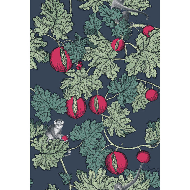 Cole&son / FORNASETTI SENZA TEMPO / FRUTTO PROIBITO 114/1001