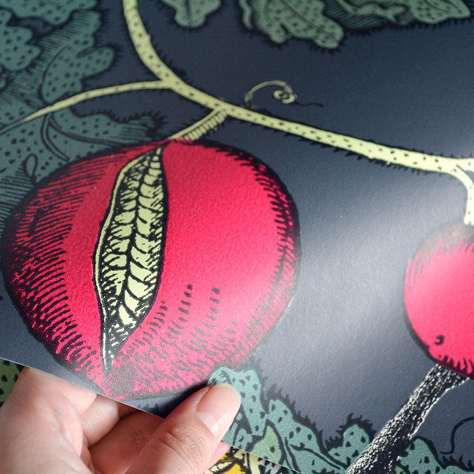 Cole&son / FORNASETTI SENZA TEMPO / FRUTTO PROIBITO 114/1001
