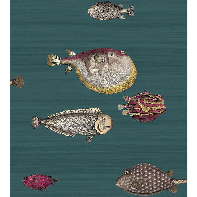 Cole&son / FORNASETTI 2018 ACQUARIO 114/12024