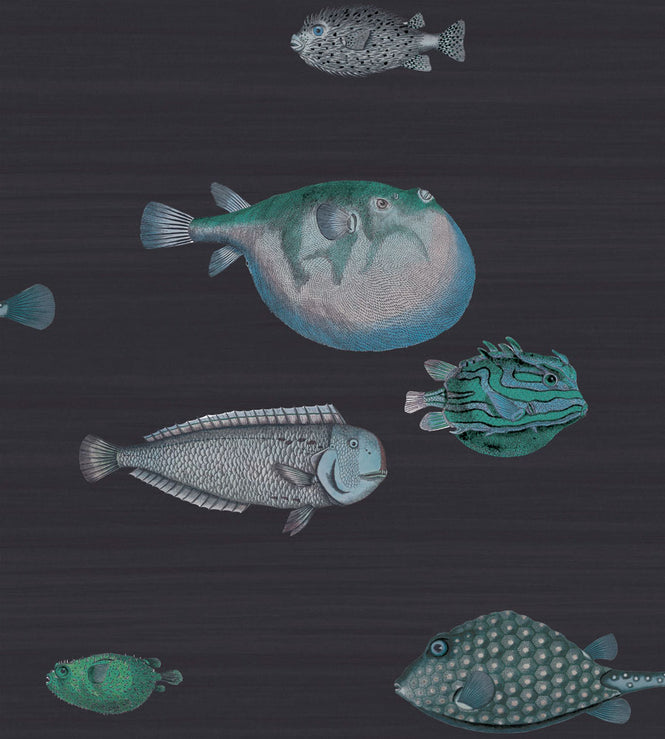Cole&son / FORNASETTI SENZA TEMPO / ACQUARIO 114/16032