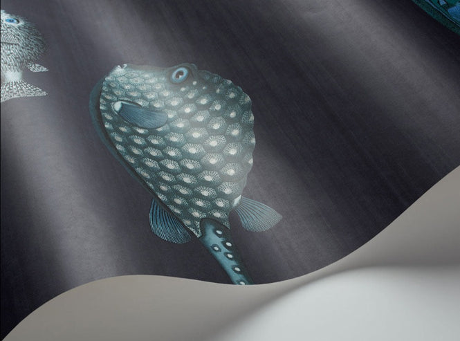 Cole&son / FORNASETTI SENZA TEMPO / ACQUARIO 114/16032