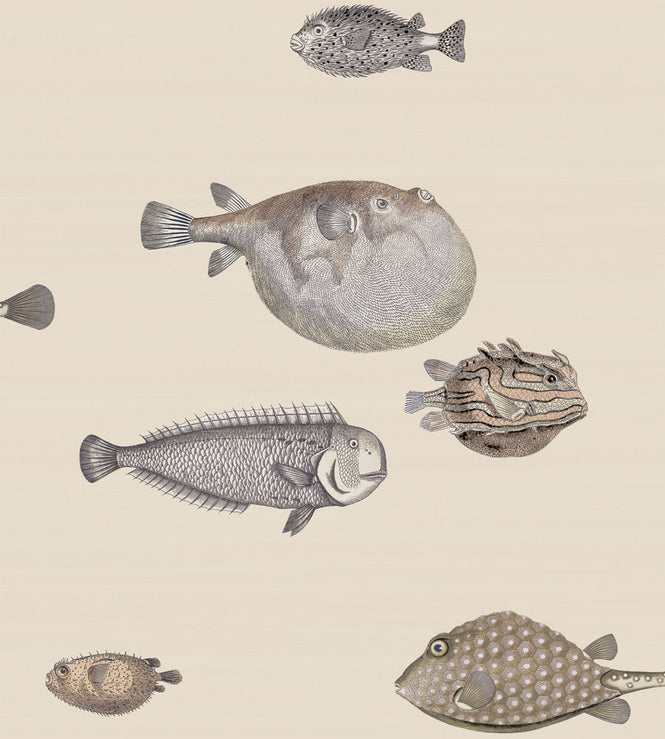 Cole&son / FORNASETTI SENZA TEMPO / ACQUARIO 114/16033