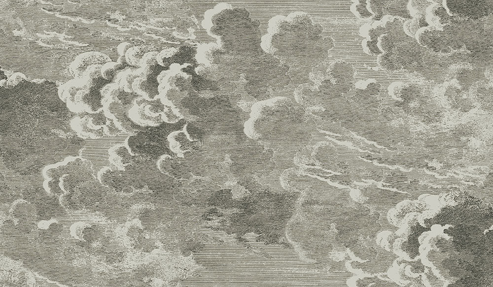 Cole&son / FORNASETTI 2018 NUVOLETTE 114/2004【2ロール1セット