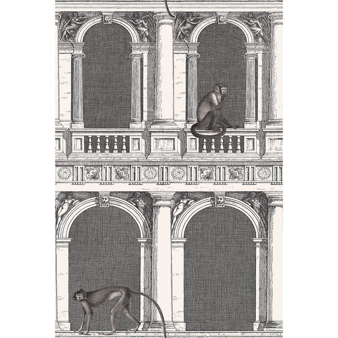 Cole&son / FORNASETTI SENZA TEMPO / PROCURATIE E SCIMMIE 114/21041