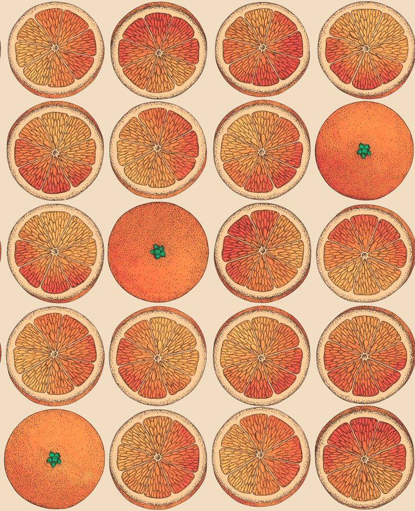 Cole&Son - FORNASETTI – WALPA.jp