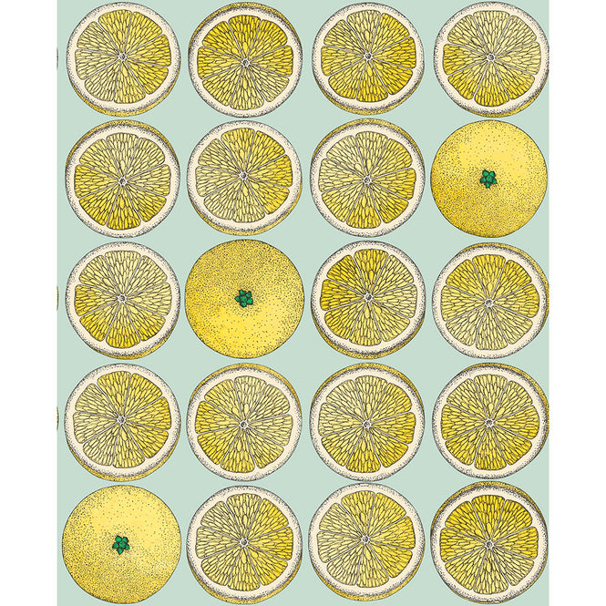 Cole&son / FORNASETTI SENZA TEMPO / ARANCE 114/24048