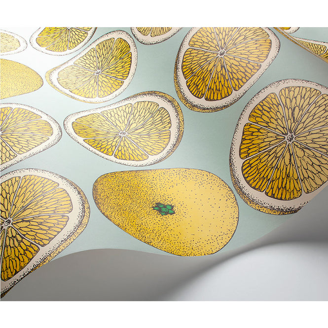 Cole&son / FORNASETTI SENZA TEMPO / ARANCE 114/24048