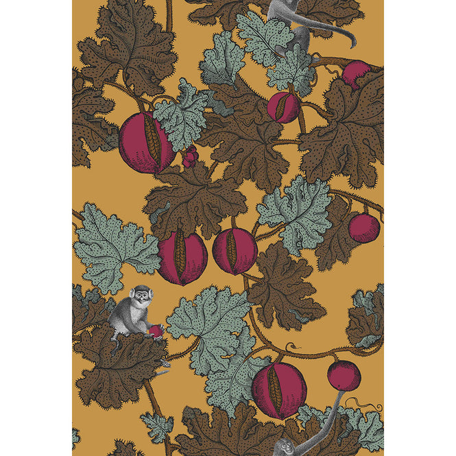 Cole&son / FORNASETTI SENZA TEMPO / FRUTTO PROIBITO 114/25049