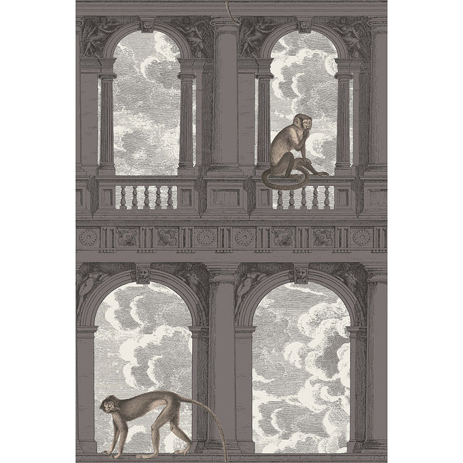 Cole&son / FORNASETTI SENZA TEMPO / PROCURATIE CON VISTA 114/8016